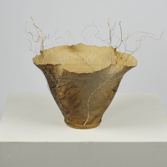 Canopy Tree Vessel By Sonya Wilkins Ceramics (White Studio Shot)