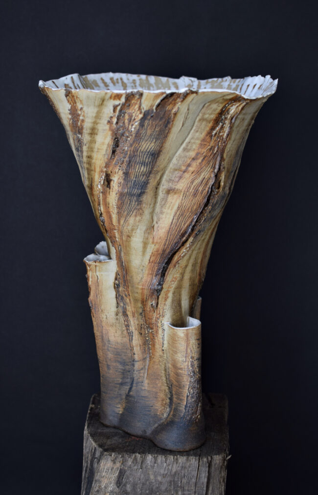 Twisted Hawthorn Tree Vessel By Sonya Wilkins Ceramics 2025 Collection (full image)