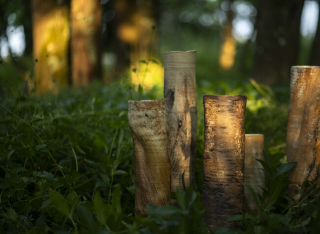 Tree Trunk Vessels in Woodland (Sonya Wilkins Ceramics)