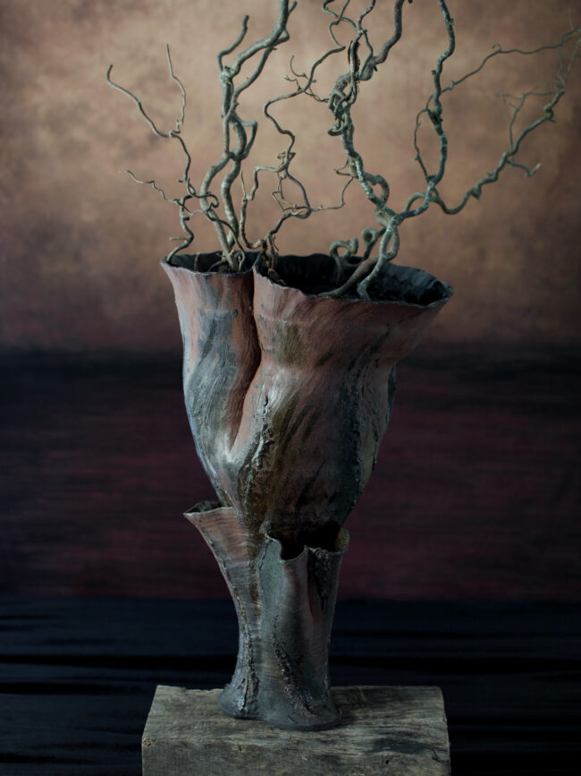 Horse Chestnut Buckeye Tree Vessel By Sonya Wilkins Ceramics 2025