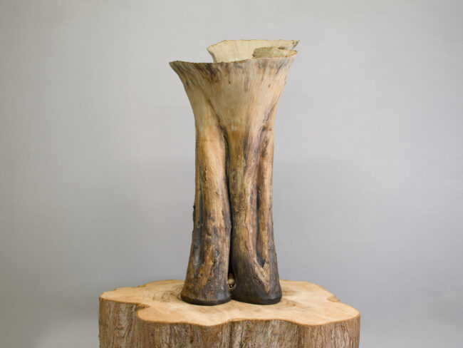 Mighty Oak Tree Vessel By Sonya Wilkins Ceramics (view 6)