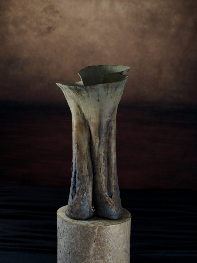 Oak Tree Vessel By Sonya Wilkins Ceramics 2025 (view 1)