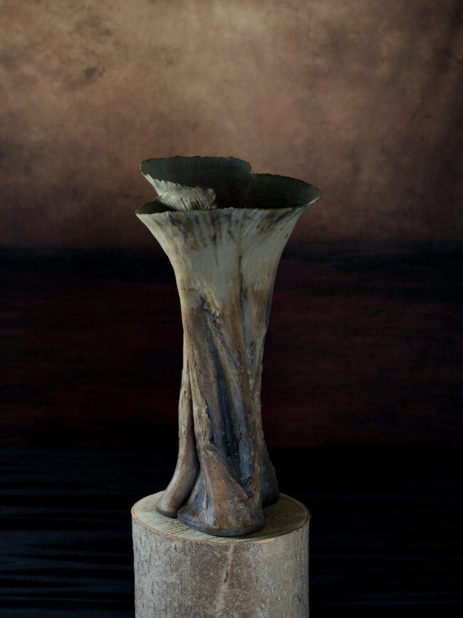 Oak Tree Vessel By Sonya Wilkins Ceramics 2025 (view 2)