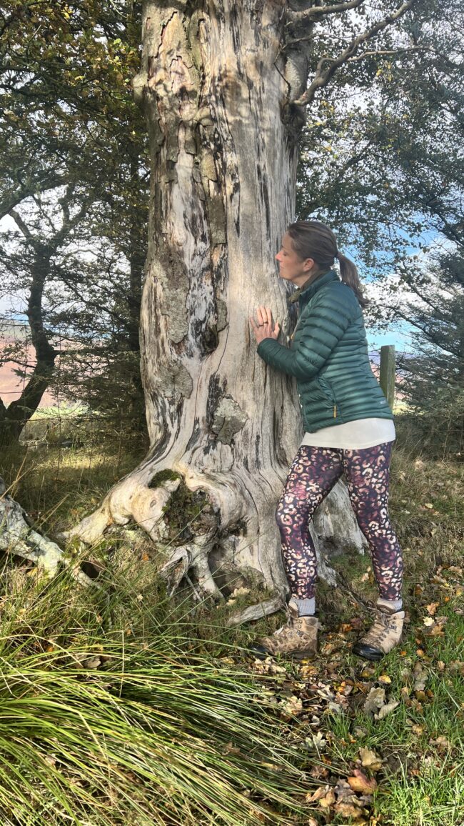 Sonya Wilkins Ceramics Tree Hug