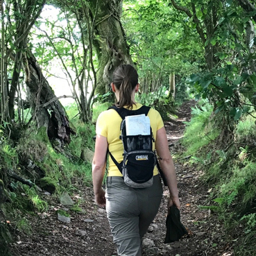 Creative retreat hideaway for artists and writers in Somerset with guided nature walks and woodland meditation embracing the healing power of nature