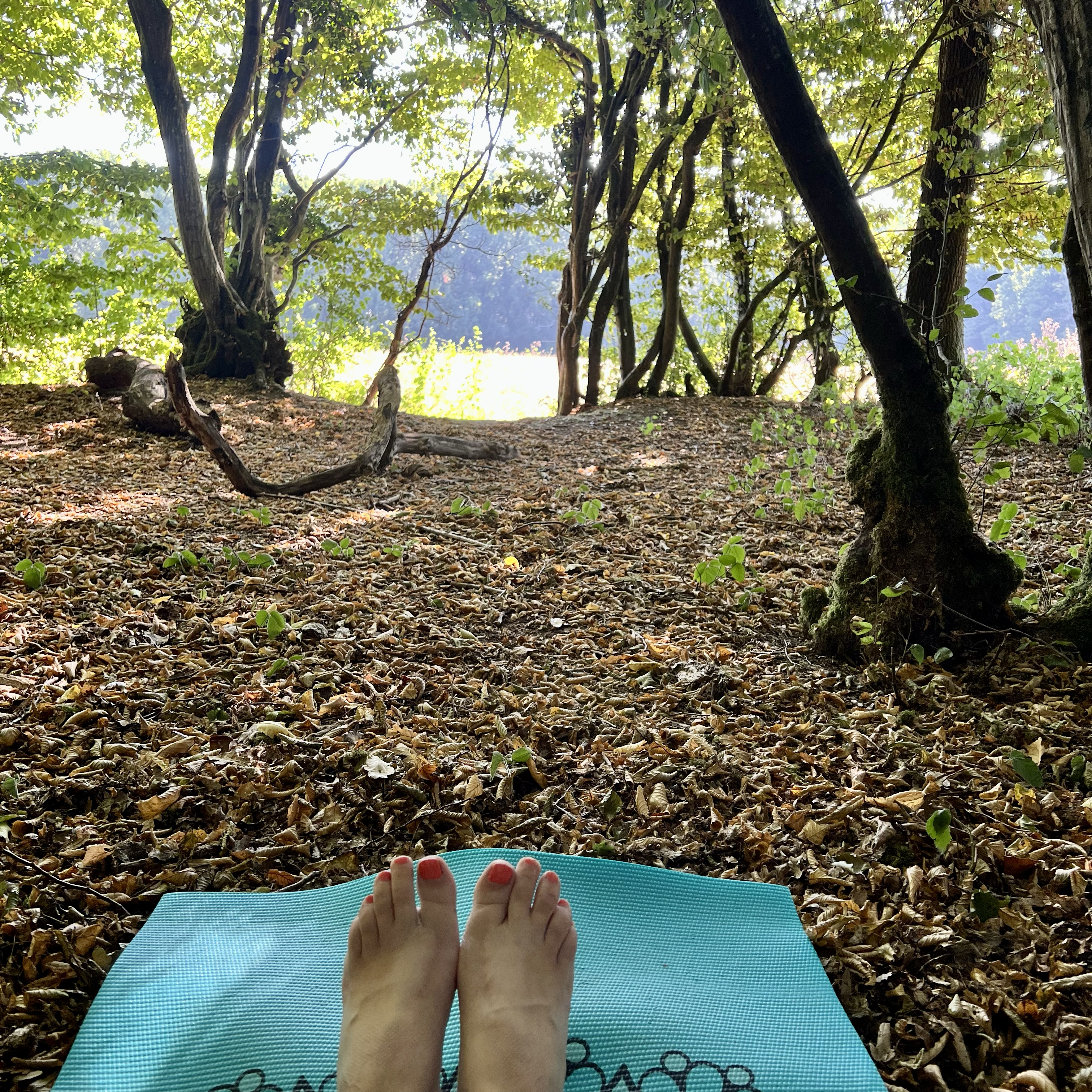 Creative retreat hideaway for artists and writers in Somerset providing nature walks, meditation and woodland yoga